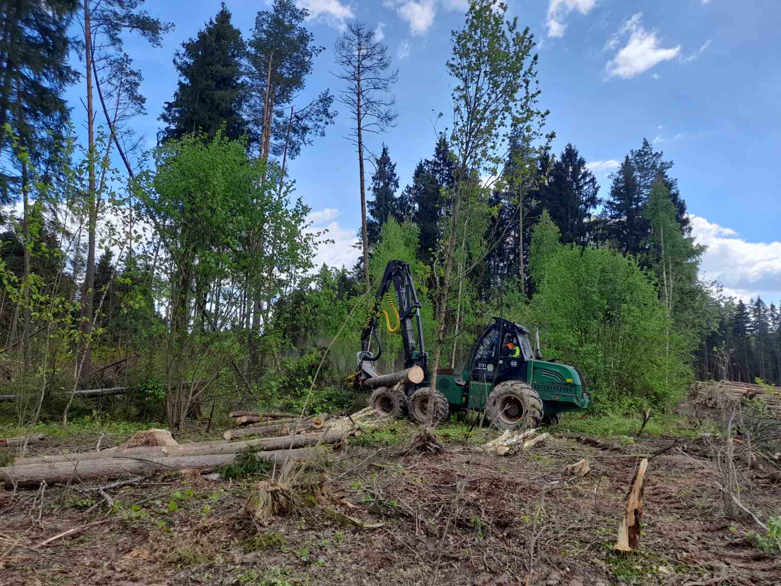Разработка ветровально-буреломных лесосек в Климовичском лесхозе