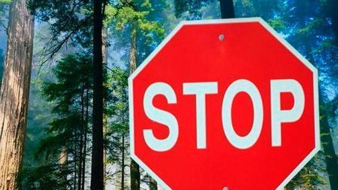 С 12 июля 2021 г. введён запрет на посещение лесов в Шумилинском районе