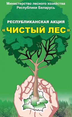Акция «Чистый лес-2021» пройдет в Беларуси 9 октября