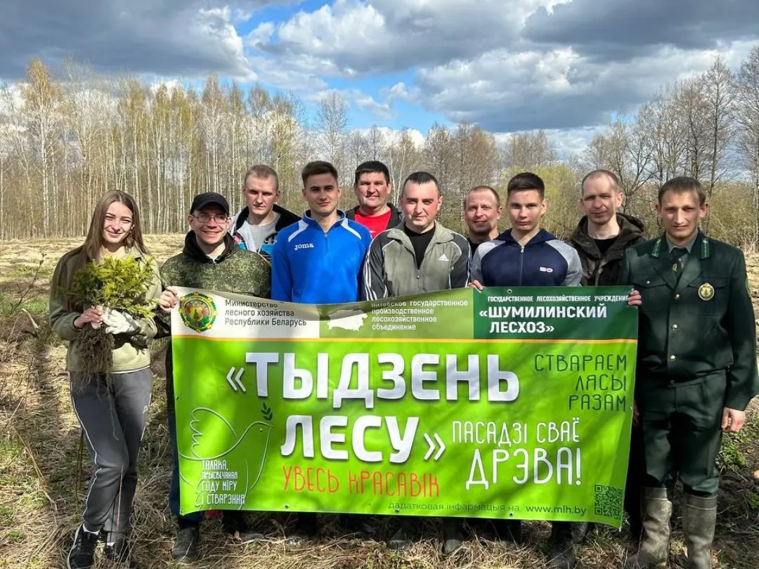 С перспективой на будущее - Шумилинский лесхоз