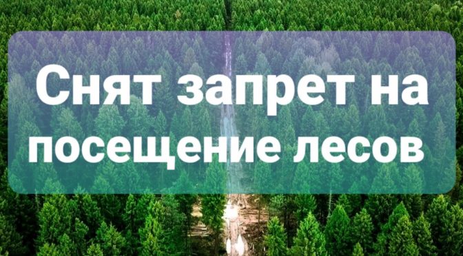 Запрет ⛔️ на посещение государственного лесного фонда🌲 в Шумилинском районе (с 15.09.2023) СНЯТ!!!