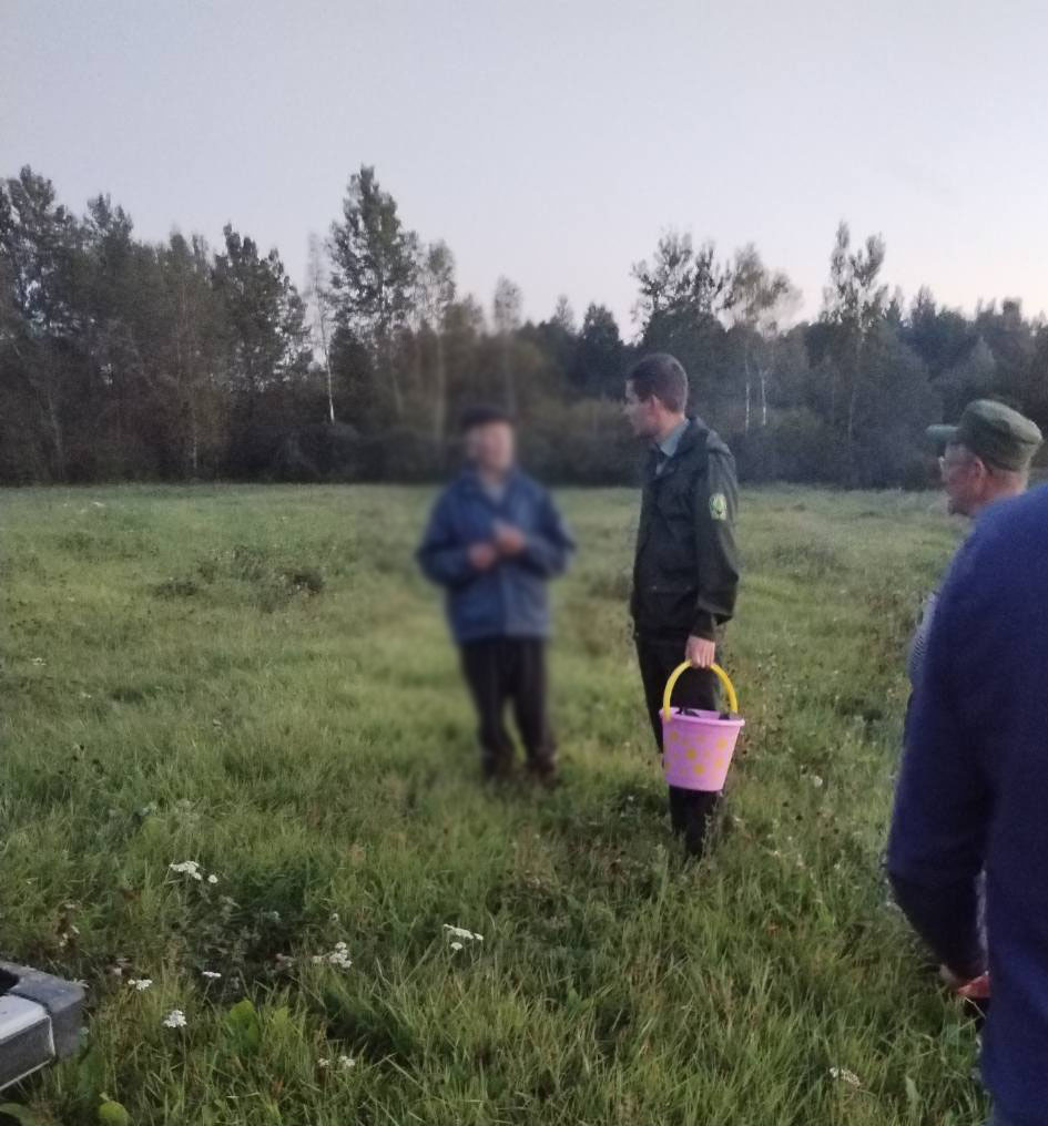 Работники Шумилинского лесхоза помогли пожилому жителю