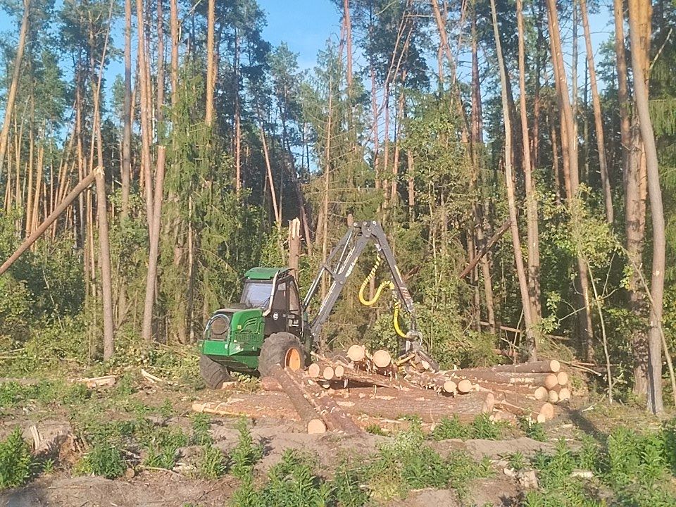 РАБОТНИКИ ШУМИЛИНСКОГО ЛЕСХОЗА ПРОДОЛЖАЮТ УСТРАНЯТЬ ПОСЛЕДСТВИЯ НЕПОГОДЫ