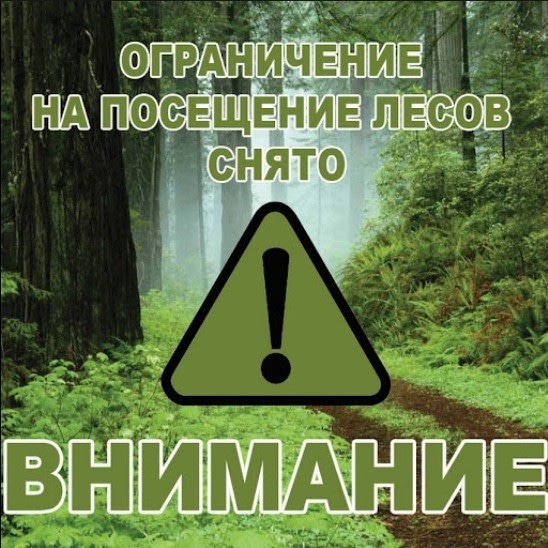 СНЯТО ОГРАНИЧЕНИЕ НА ПОСЕЩЕНИЕ ЛЕСОВ
