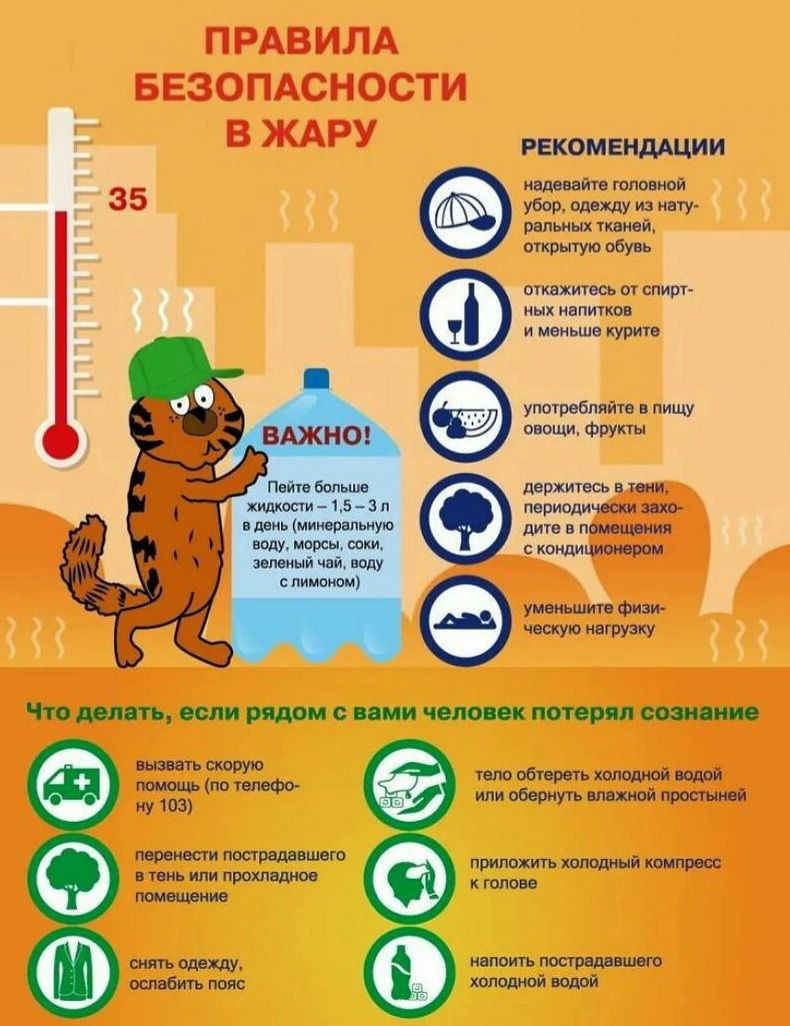 Правила безопасности в жару