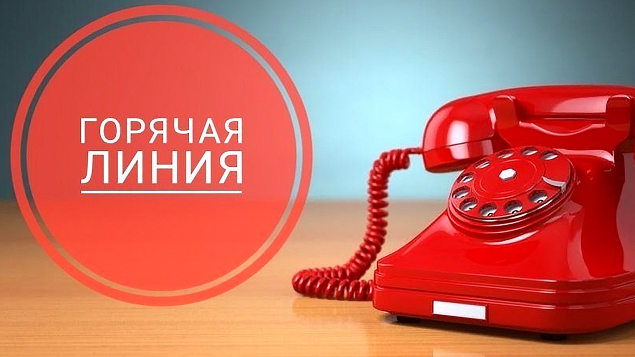 Минлесхоз проводит горячую телефонную линию