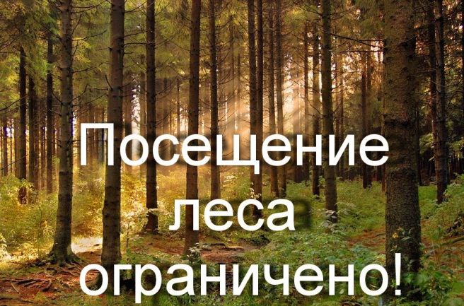 Посещение леса ограничено!