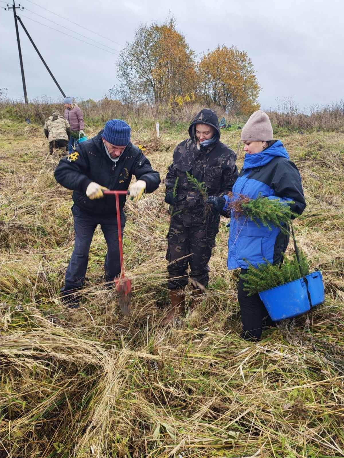 Акция «Дай лесу новае жыццё»
