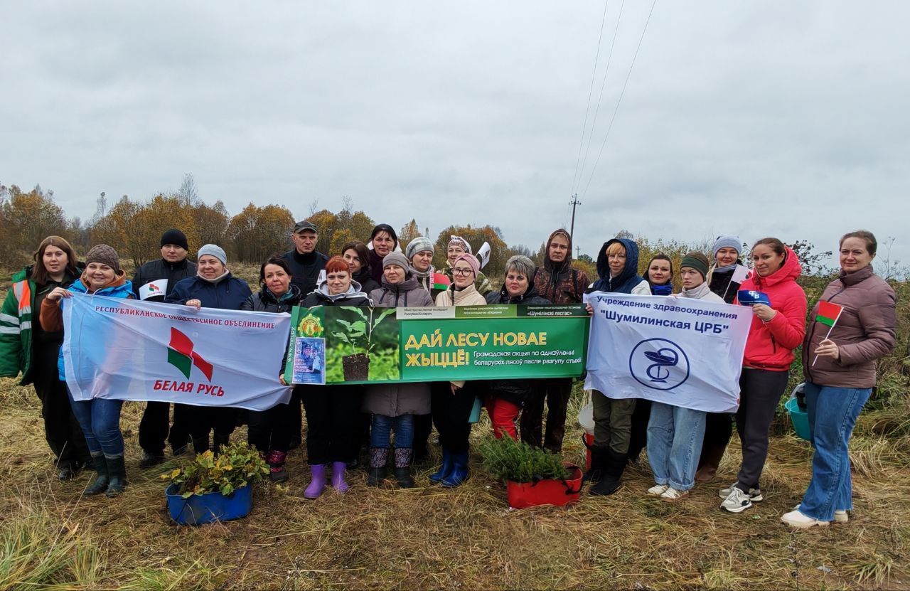 Желающих посадить лес всё больше!!!
